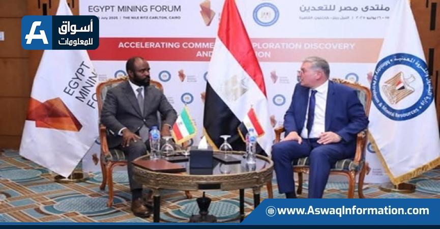 وزير البترول يعقد جلسة مباحثات مع وزير المناجم بدولة غينيا