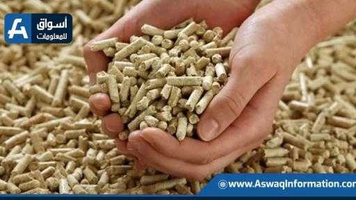 أسعار الأعلاف اليوم الأربعاء عند التاجر.. طن العلف وصل لكام أسعار الأعلاف اليوم الأربعاء عند التاجر.. طن العلف وصل لكام
