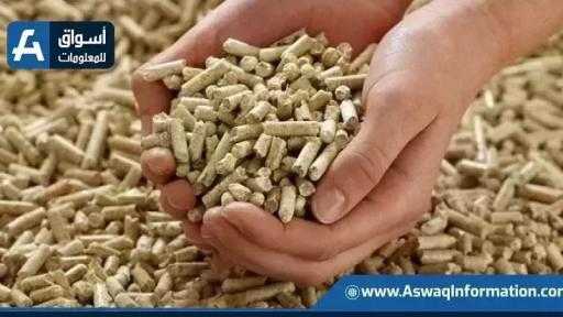 تواصل تراجع أسعار ذرة العلف في أوكرانيا