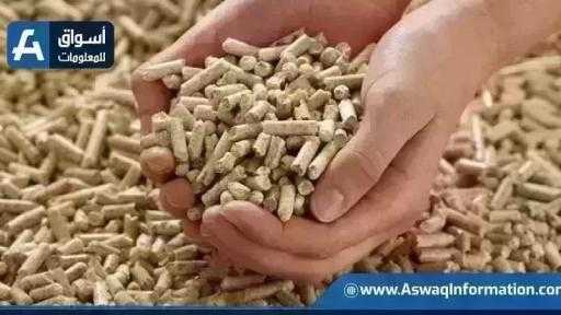 أسعار الأعلاف اليوم الثلاثاء عند التاجر.. طن العلف وصل لكام أسعار الأعلاف اليوم الثلاثاء عند التاجر.. طن العلف وصل لكام