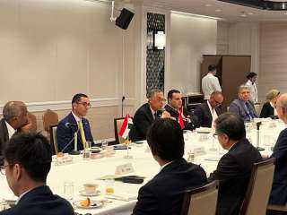 مصر واليابان إمكانات التعاون في مجالات الطاقة والغذاء والتصنيع