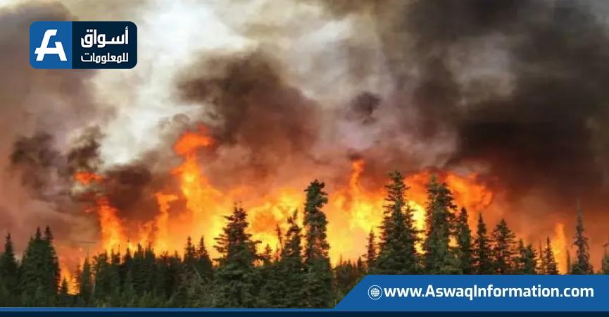 اليونان تطلب مساعدة الاتحاد الأوروبي لمكافحة حرائق الغابات