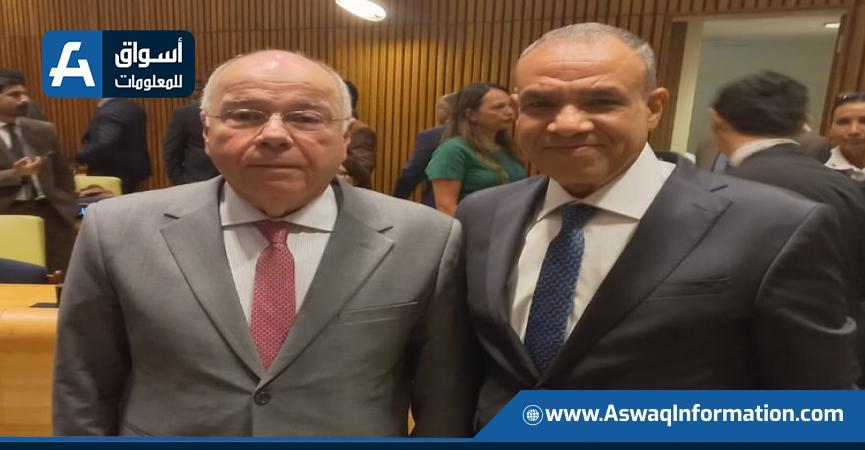 وزيرا خارجية مصر والبرازيل