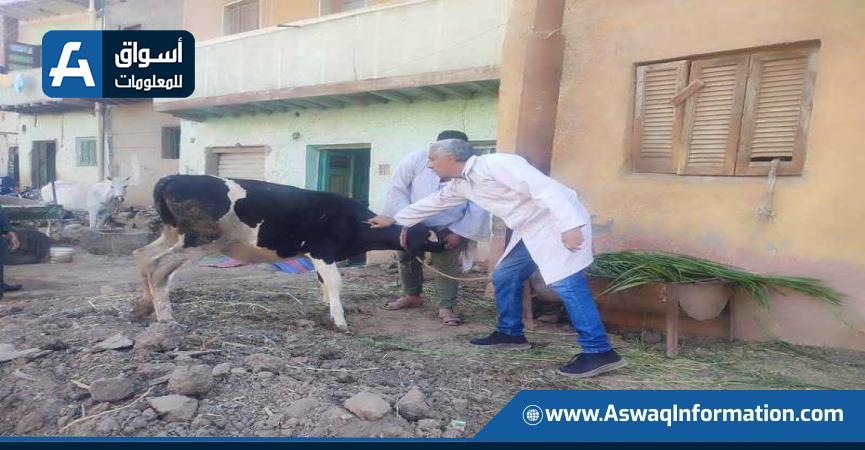 أعمال الحملة