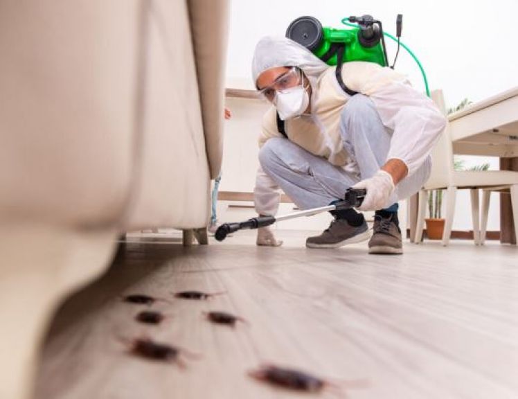 أسواق للمعلومات