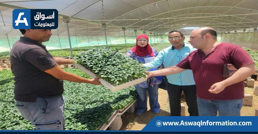 أعمال الإدارة