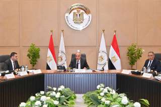 وزارة الرى: الموافقة على 34 مشروعًا لتراخيص الشواطئ