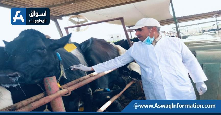 أسواق للمعلومات
