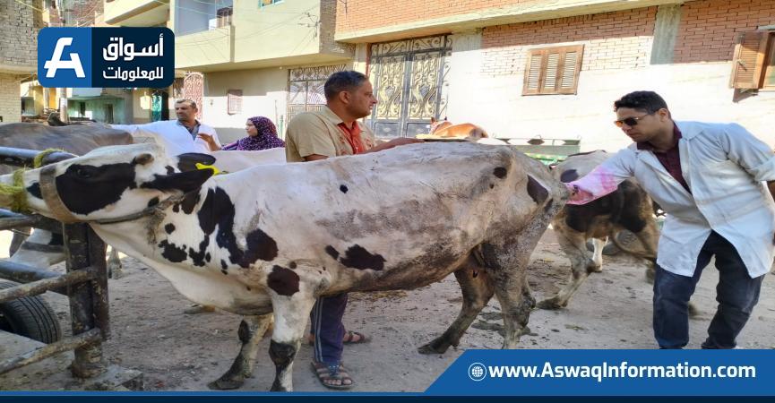 جهود الخدمات البيطرية
