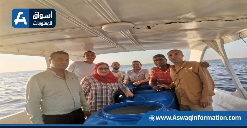 إطلاق يرقات الجمبري