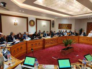 لتعزيز الاستثمار والتبادل التجاري.. انعقاد اللجنة الدائمة لمتابعة العلاقات المصرية الإفريقية