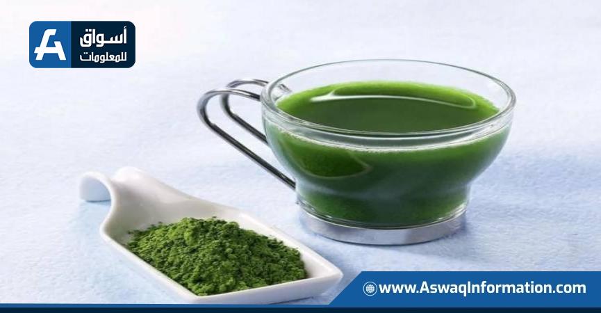 ارتفاع سعر الشاي المستخدم في صنع الماتشا لأعلى مستوياته على الإطلاق
