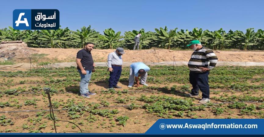 جهود الإدارة
