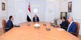 الرئيس السيسي يؤكد على أهمية تشجيع القطاع الخاص على الاستثمار بالمجال الطبي وصناعة الدواء