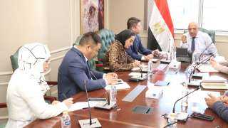 وزير الكهرباء يبحث مع «صن ريف سولار» الصينية التعاون بمجالات الطاقة المتجددة