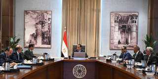 رئيس الوزراء: اهتمام بإنتاج البذور والتقاوي محليًا بجودة عالية وتحقيق الاكتفاء الذاتي منها
