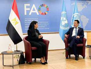 وزيرة التخطيط: الدولة تسعى إلى توسيع نطاق الرقعة الزراعية لتحقيق الأمن الغذائي