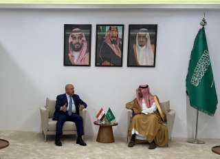 وزير الصناعة: نتطلع إلى جذب المزيد من الاستثمارات السعودية بمجالي الألومنيوم والصناعات الكيماوية