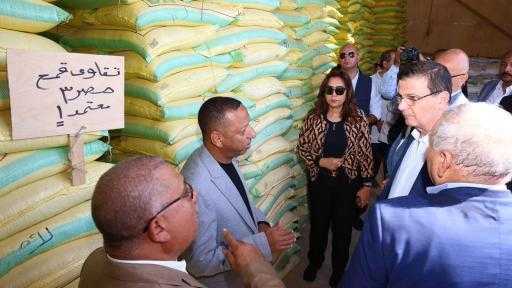 وزيرا الزراعة والتنمية المحلية يتفقدان محطة غربلة وإعداد التقاوي بالخارجة