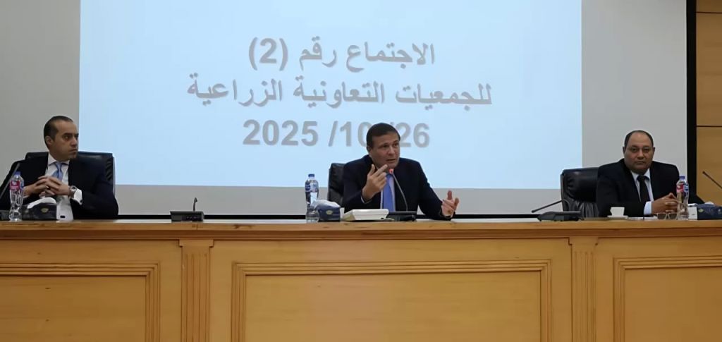 جانب من الجلسة