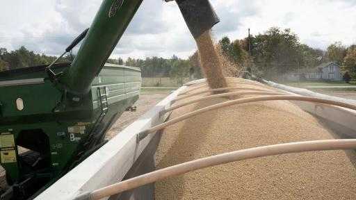 الصين تشتري 180 ألف طن فول صويا من أمريكا عبر ”كوفكو”.. أول... الصين تشتري 180 ألف طن فول صويا من أمريكا عبر ”كوفكو”.. أول صفقة من المحصول الجديد قبل قمة ترامب وشي