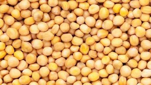 الهند تفرض رسومًا جمركية بنسبة 30% على استيراد البازلاء الصفراء