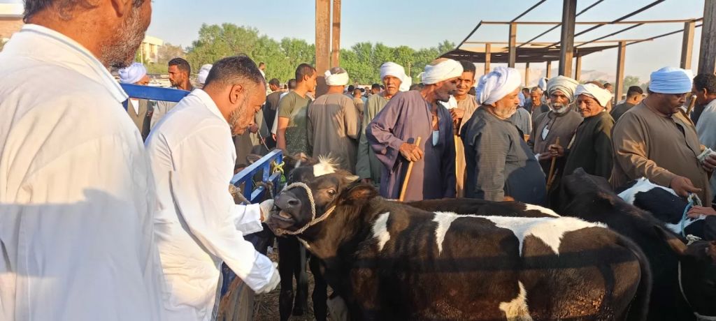 أعمال الحملة