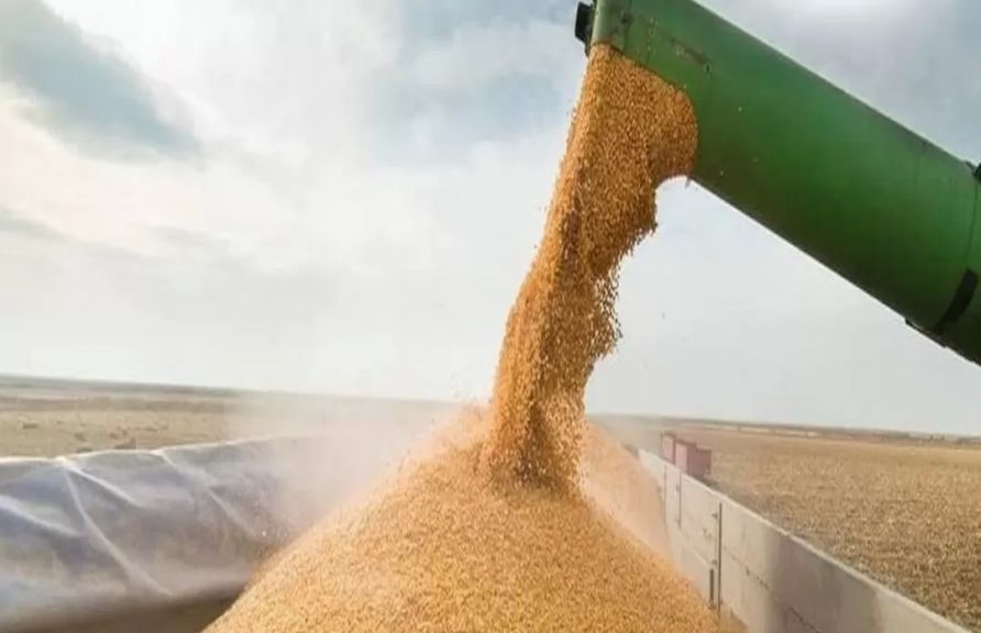 أسواق للمعلومات