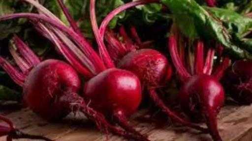 تباطؤ زراعة بنجر السكر في أوكرانيا بسبب موجة الصقيع والعواصف