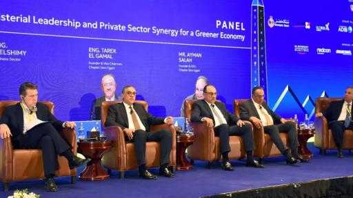 ”هيبة”: عدد كبير من مصانع الألواح الشمسية ستبدأ الإنتاج الفعلي في الربع الأول من عام 2026