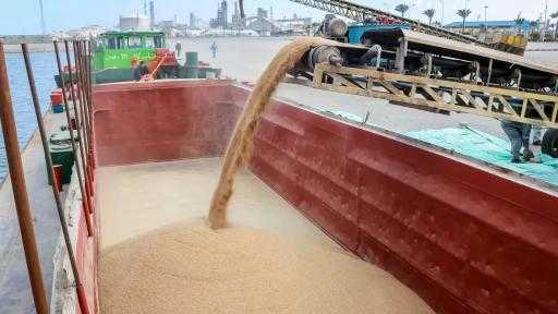 استئناف تراجع أسعار القمح في الأسواق الأوكرانية