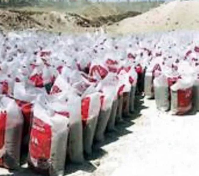 جانب من المضبوطات