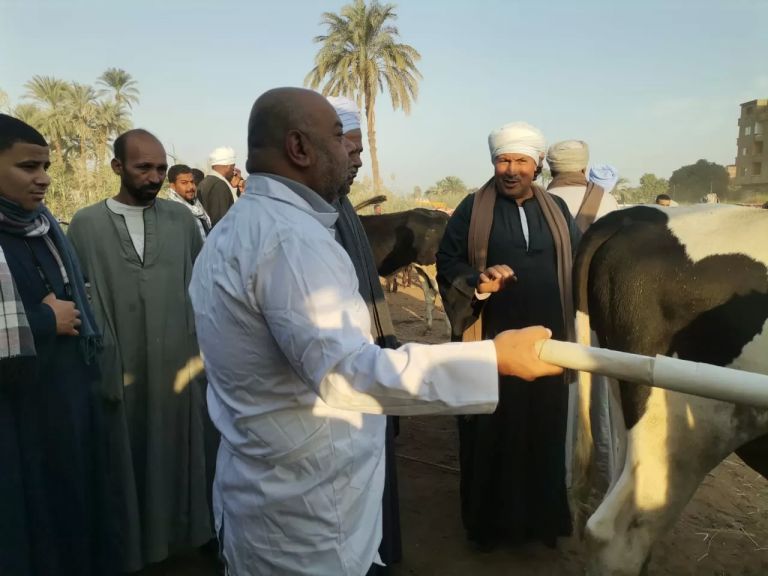 جانب من الجولات