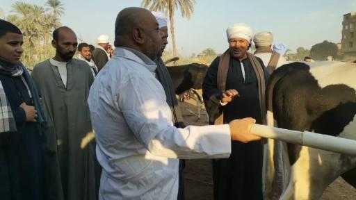 ”الخدمات البيطرية” تمر على أسواق الماشية بـ5 محافظات للتأكد من استقرار الوضع... ”الخدمات البيطرية” تمر على أسواق الماشية بـ5 محافظات للتأكد من استقرار الوضع الوبائي