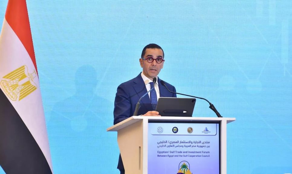 وزير الاستثمار