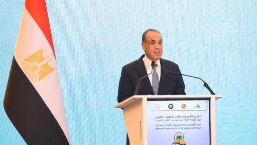 وزير الخارجية: التعاون الاقتصادي بين مصر ودول الخليج يشكل أحد أهم ركائز تعزيز الأمن القومي العربي