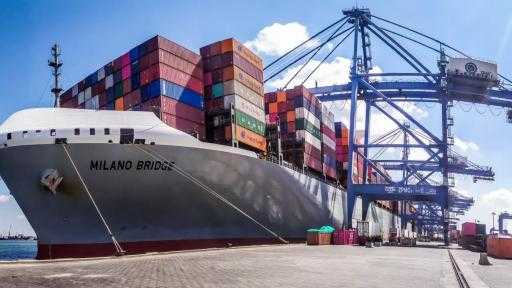 تضم ذرة وقمح وحديد.. ميناء دمياط يستقبل 63890 طنًا من البضائع