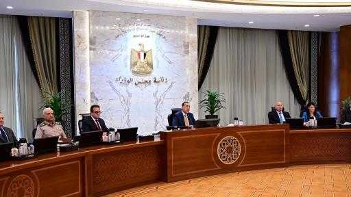 مجلس الوزراء: تخصيص 16 ألف فدان بالوادي الجديد لزراعة المحاصيل الاستراتيجية والنباتات الطبية والعطرية