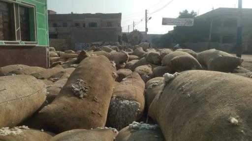 ”الزراعة” تضبط شونة ضخمة لتخزين وبيع القطن دون ترخيص في الشرقية