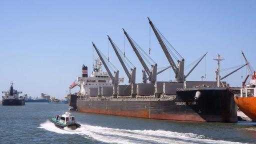 تضم ذرة وقمح وزيت.. ميناء دمياط تستقبل 43657 طنًا من البضائع تضم ذرة وقمح وزيت.. ميناء دمياط تستقبل 43657 طنًا من البضائع