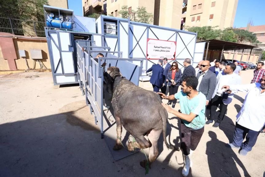 افتتاح المجزر