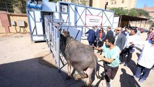 وزيرة التنمية المحلية تفتتح المجزر المتنقل الأول في مصر