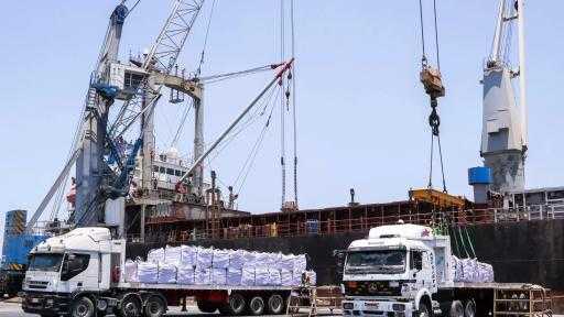 تضم ذرة وقمح وفول.. ميناء دمياط يستقبل 59001 طنًا من البضائع