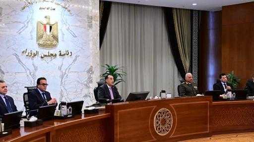حوافز للمشروعات السينمائية.. مجلس الوزراء يوافق على إصدار لائحة تنظيم التصوير الأجنبي داخل مصر