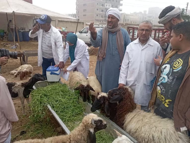 جهود الحملة