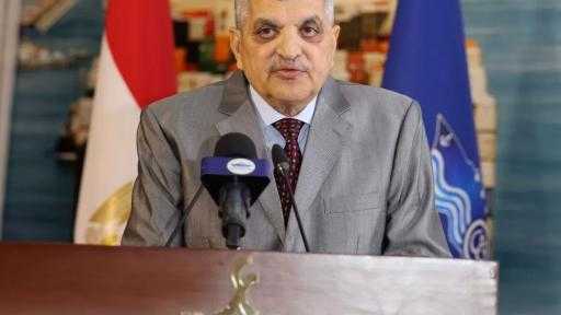 ”ربيع”: نتوقع عبور 1156 سفينة لقناة السويس خلال نوفمبر بإيرادات 383.4 مليون دولار