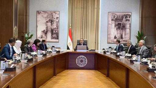 رئيس الوزراء يُتابع مع وزيري المالية والاستثمار الموقف التنفيذي لخطة تطوير المنظومة الجمركية