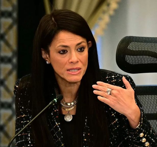 وزيرة التخطيط