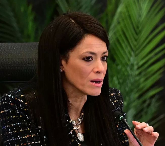 وزيرة التخطيط