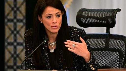 وزيرة التخطيط: القطاع الخاص يستحوذ على 66% من إجمالي الاستثمارات متجاوزًا 167 مليار جنيه